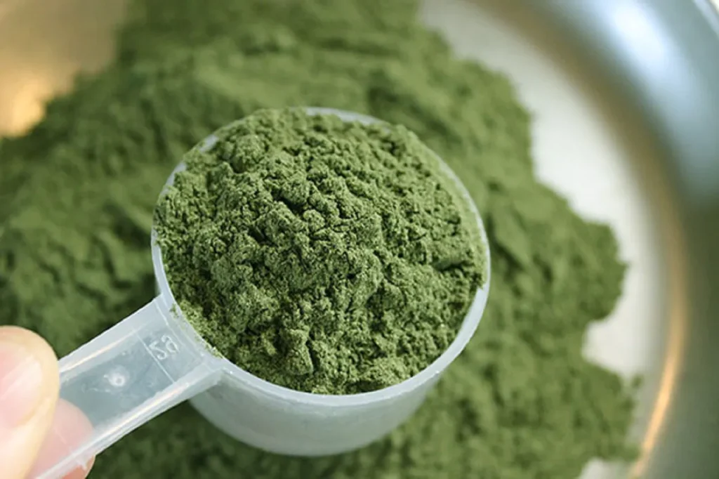 Premium-Quality Kratom Brands
