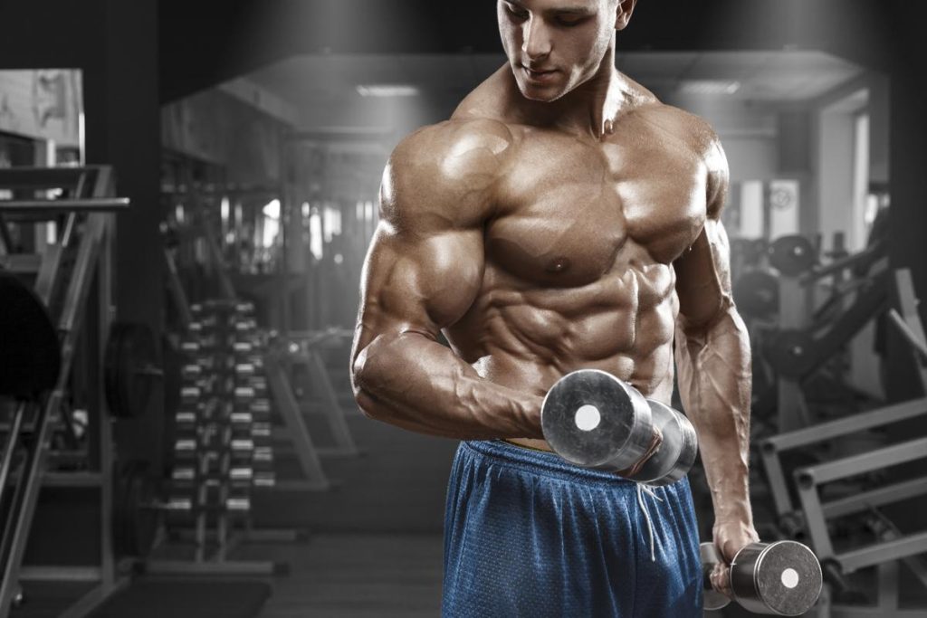 Journey to Fitness Excellence